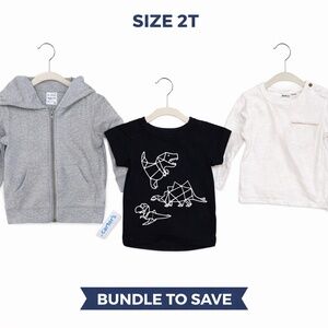 3 Piece Toddler Boys Bundle 2T Zara Carter’s Hoodie Dinosaur Shirt